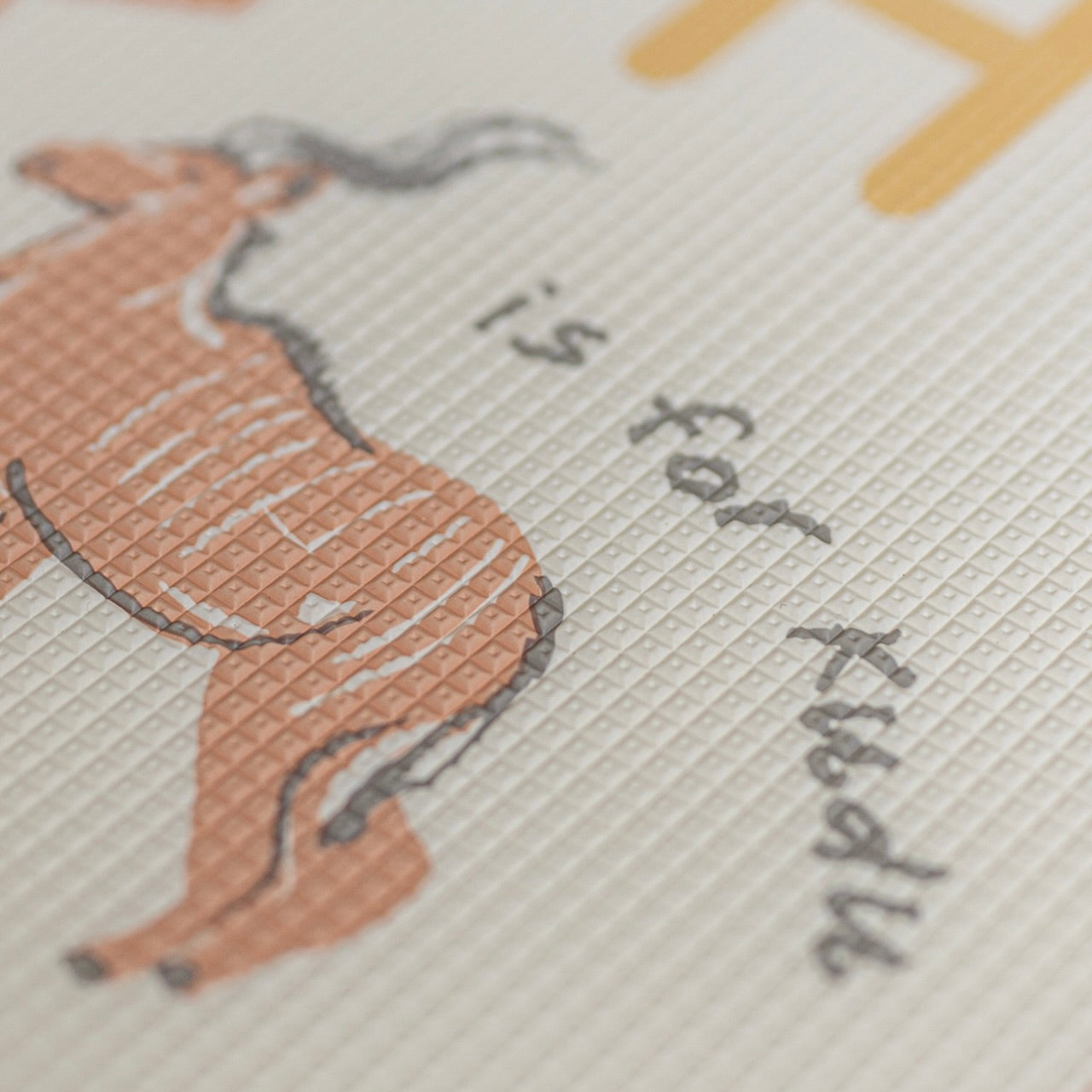 Gingham Stone/ ABC Africa Play Mat