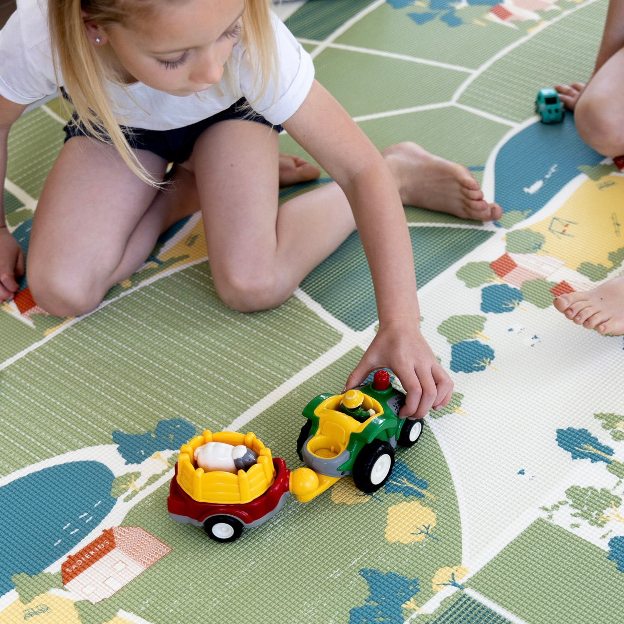 Little Farmer/ Gingham Stone Play Mat (Small)