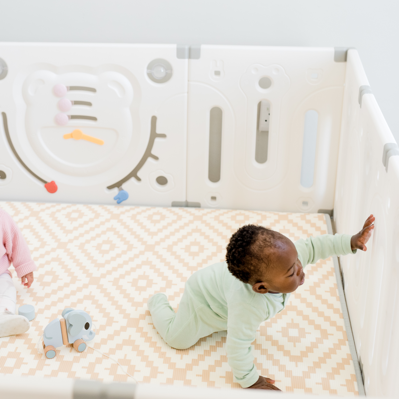 PRE-ORDER: Tiger Playpen