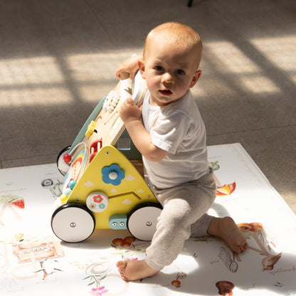 Adjustable Speed Walker