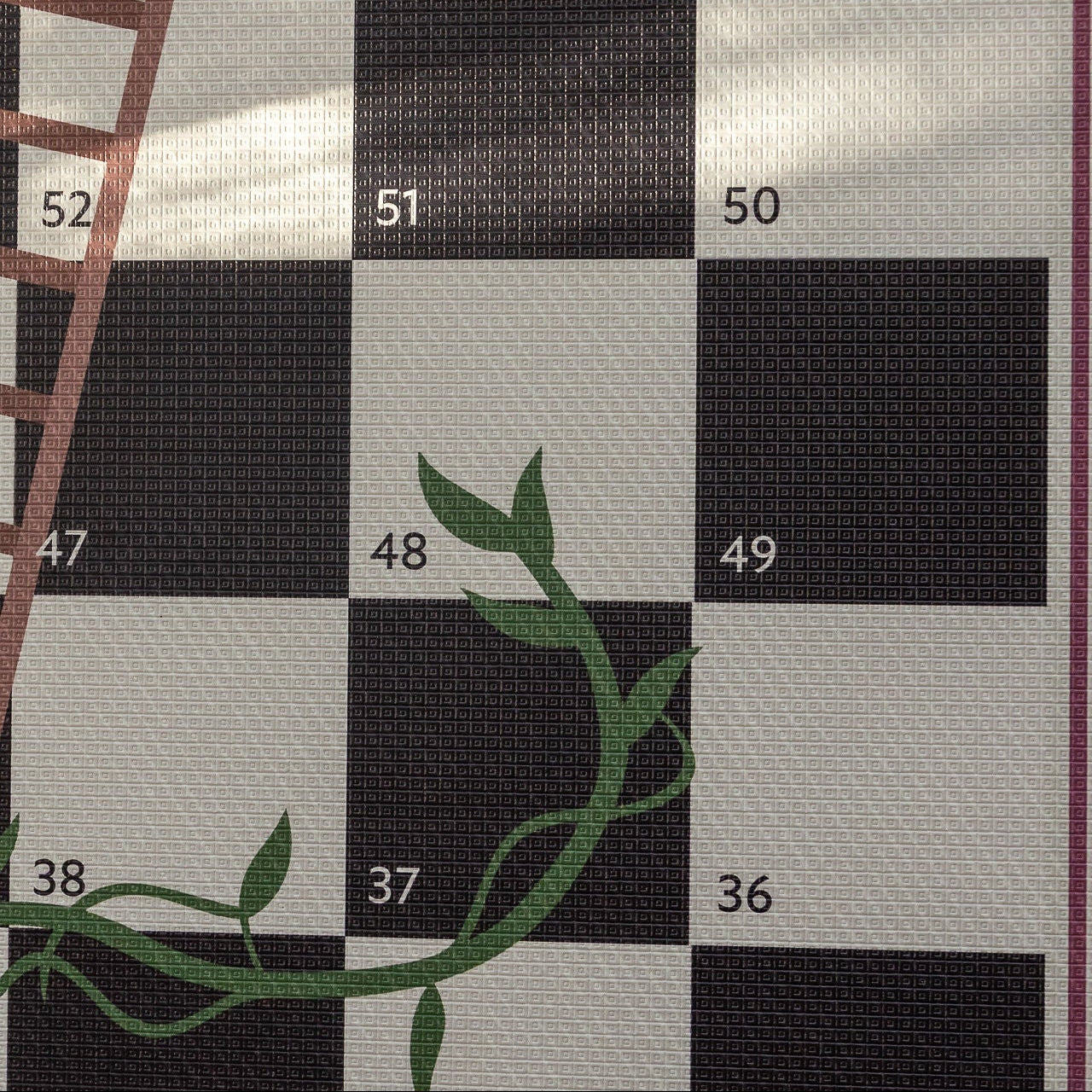 Bobbin (Black)/ Vines & Ladders
