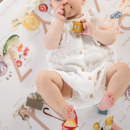ABC Storybook (Blush)/ Heirloom (Blush)