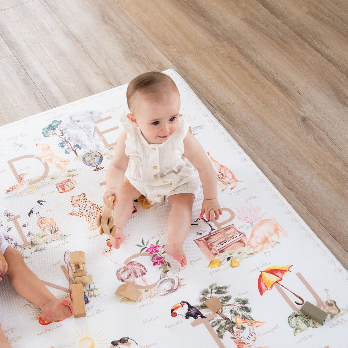 ABC Storybook (Blush)/ Heirloom (Blush)