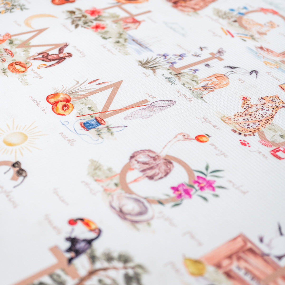 ABC Storybook (Blush)/ Heirloom (Blush)